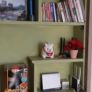 Birdsnest Hongdae Foreigner Only South Korea